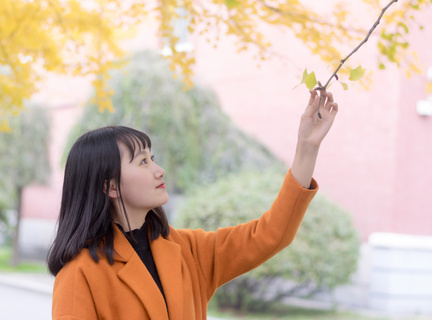 菲律宾公立和私立大学排名(大学排名)